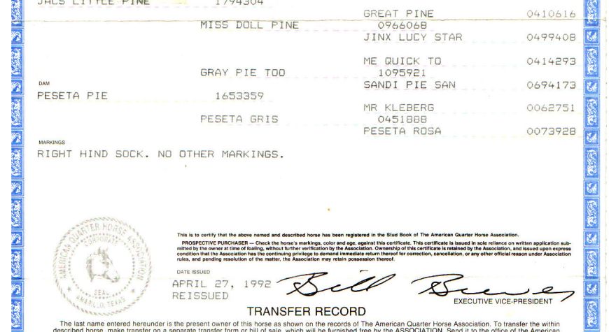 Little Pie Jac Certificate