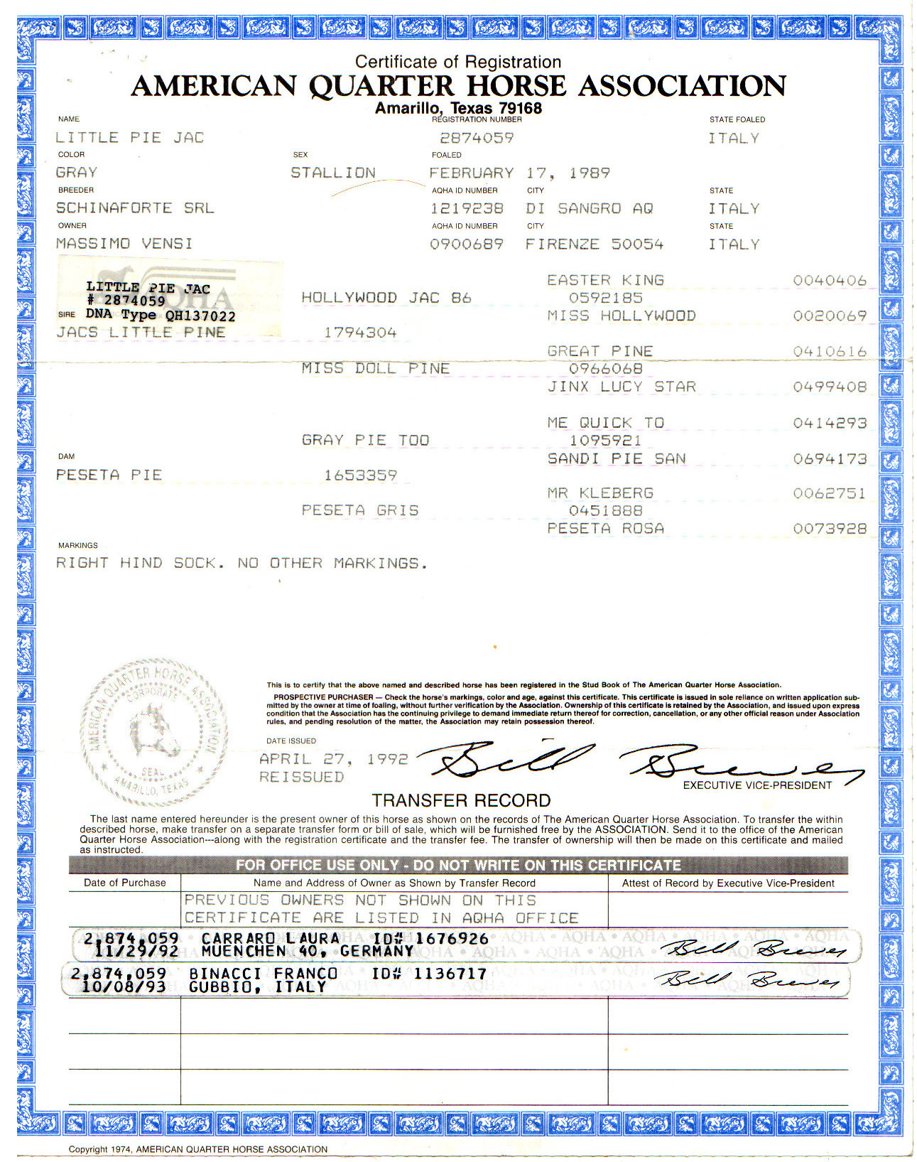 Little Pie Jac Certificate